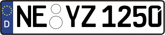 NE-YZ1250