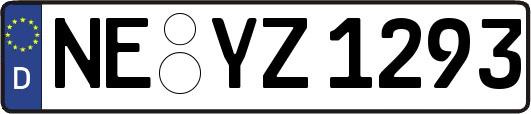 NE-YZ1293