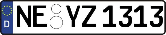 NE-YZ1313