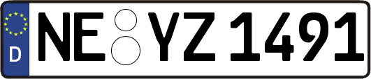 NE-YZ1491