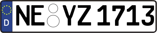 NE-YZ1713