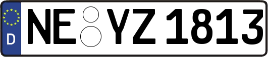 NE-YZ1813