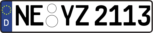 NE-YZ2113