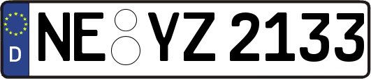 NE-YZ2133