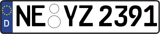 NE-YZ2391