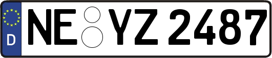 NE-YZ2487