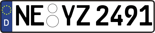 NE-YZ2491