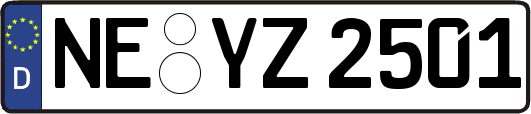 NE-YZ2501