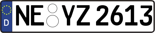 NE-YZ2613