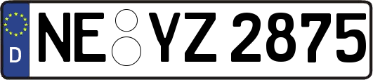 NE-YZ2875