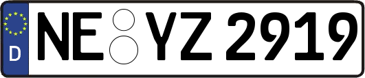 NE-YZ2919