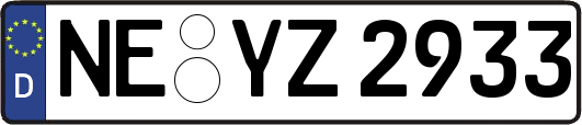 NE-YZ2933