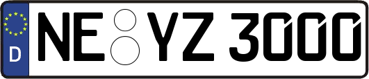 NE-YZ3000