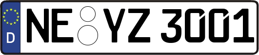 NE-YZ3001