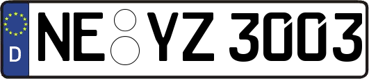 NE-YZ3003
