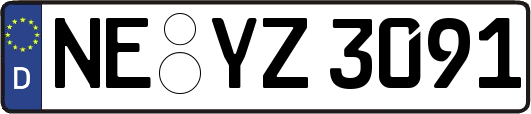 NE-YZ3091