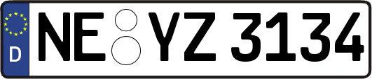 NE-YZ3134