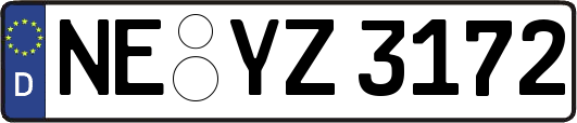 NE-YZ3172