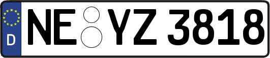 NE-YZ3818