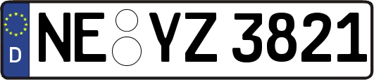 NE-YZ3821