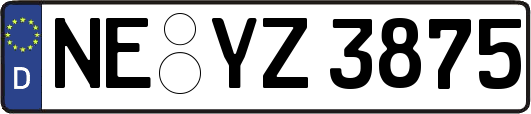 NE-YZ3875