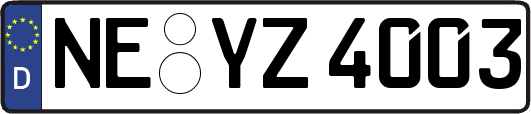 NE-YZ4003