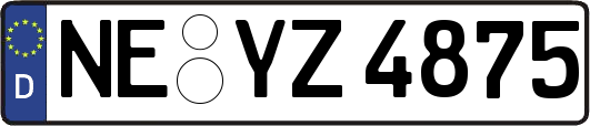 NE-YZ4875