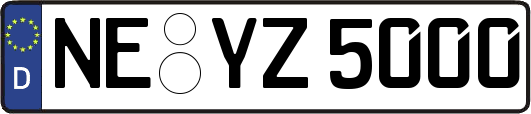 NE-YZ5000
