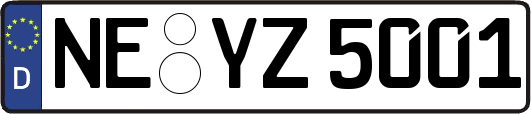 NE-YZ5001