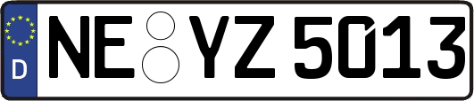 NE-YZ5013