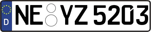 NE-YZ5203