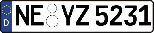 NE-YZ5231