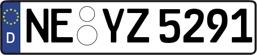 NE-YZ5291