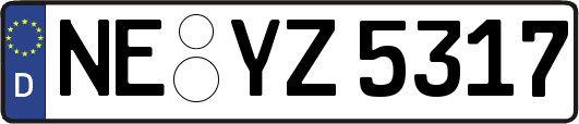 NE-YZ5317