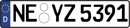 NE-YZ5391