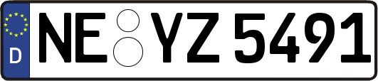 NE-YZ5491
