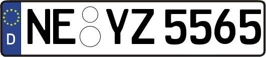 NE-YZ5565