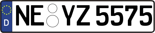 NE-YZ5575
