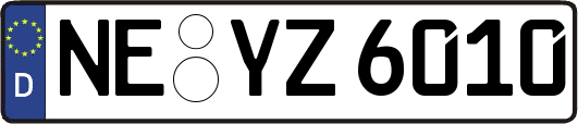 NE-YZ6010