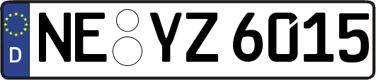 NE-YZ6015