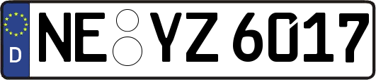 NE-YZ6017