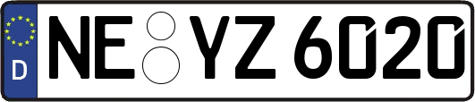 NE-YZ6020