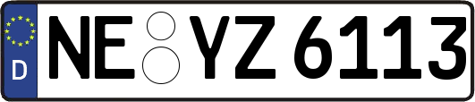 NE-YZ6113