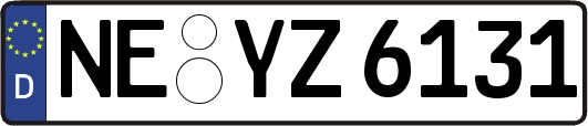NE-YZ6131