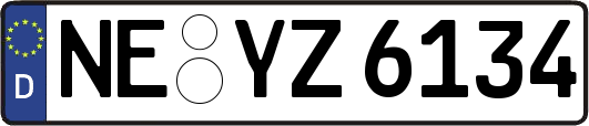 NE-YZ6134