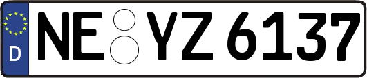 NE-YZ6137