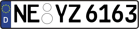 NE-YZ6163