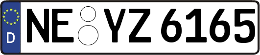 NE-YZ6165