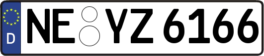 NE-YZ6166