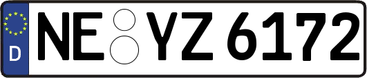 NE-YZ6172